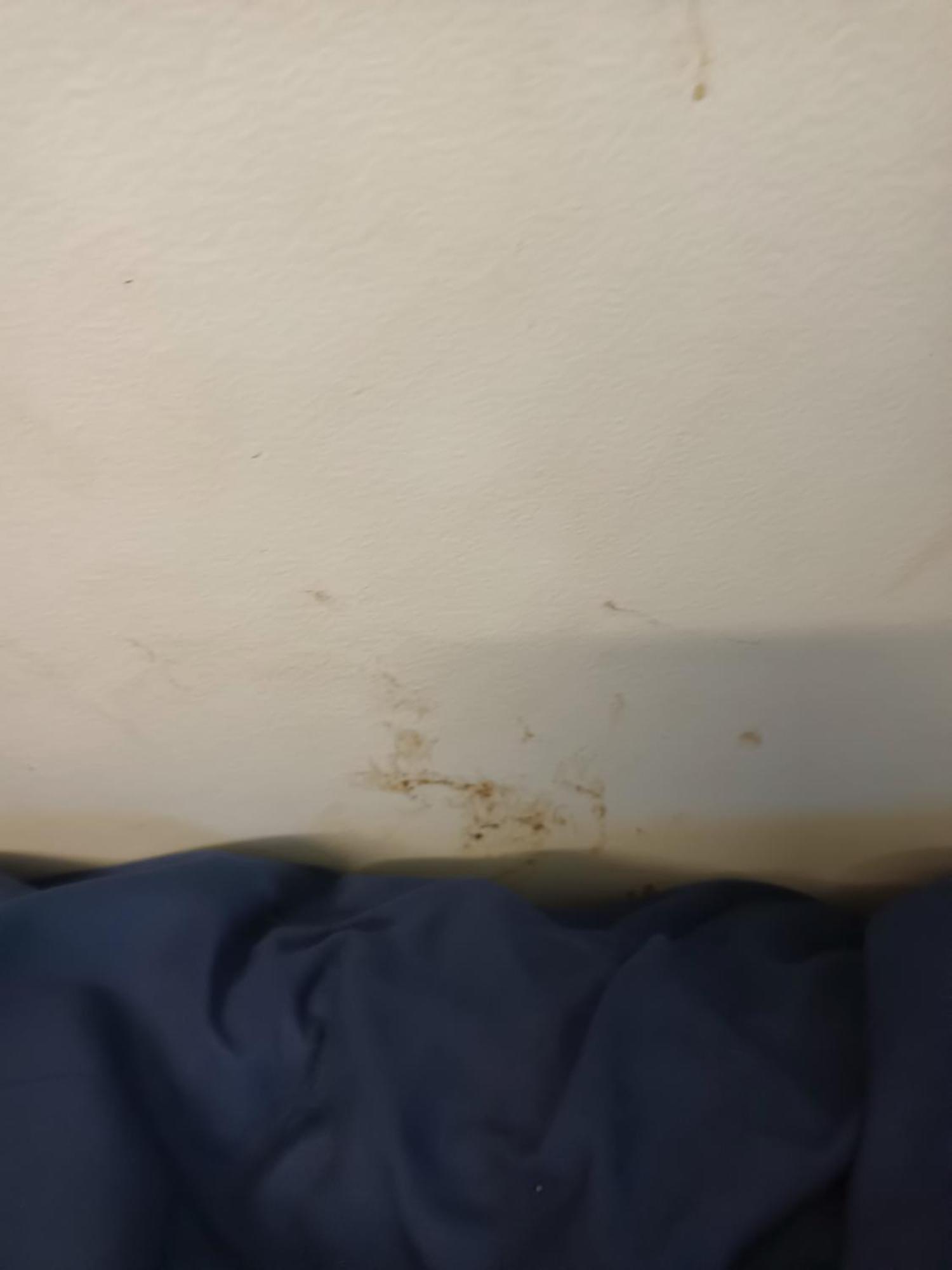 Single Room In Wollongong Near Uni Keiraville الغرفة الصورة