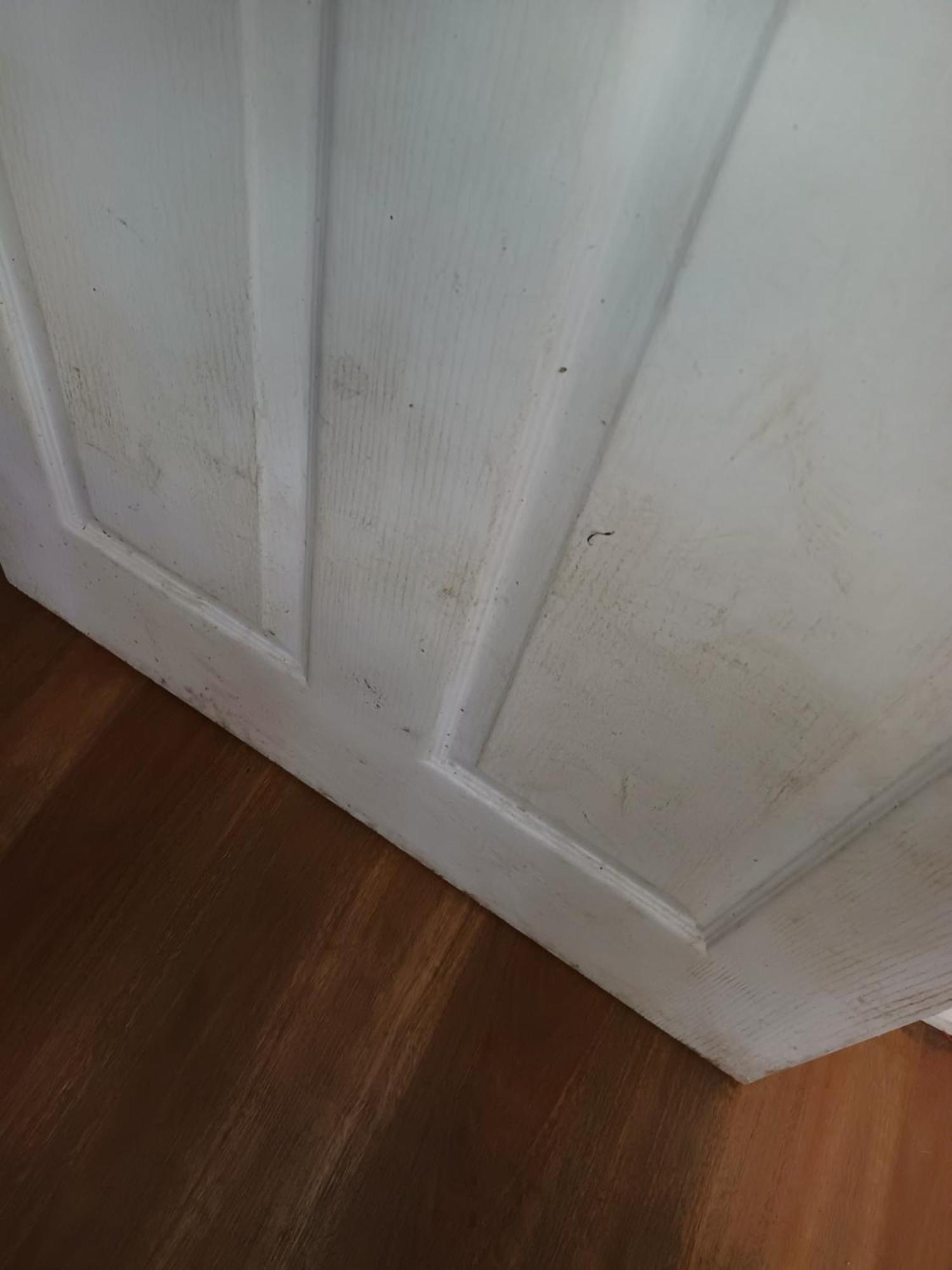 Single Room In Wollongong Near Uni Keiraville الغرفة الصورة