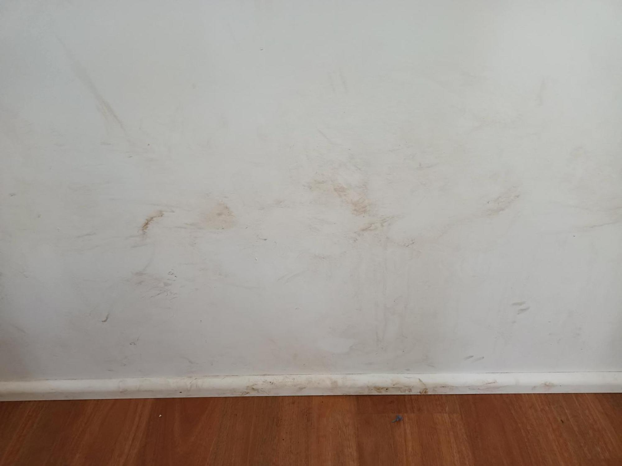 Single Room In Wollongong Near Uni Keiraville الغرفة الصورة